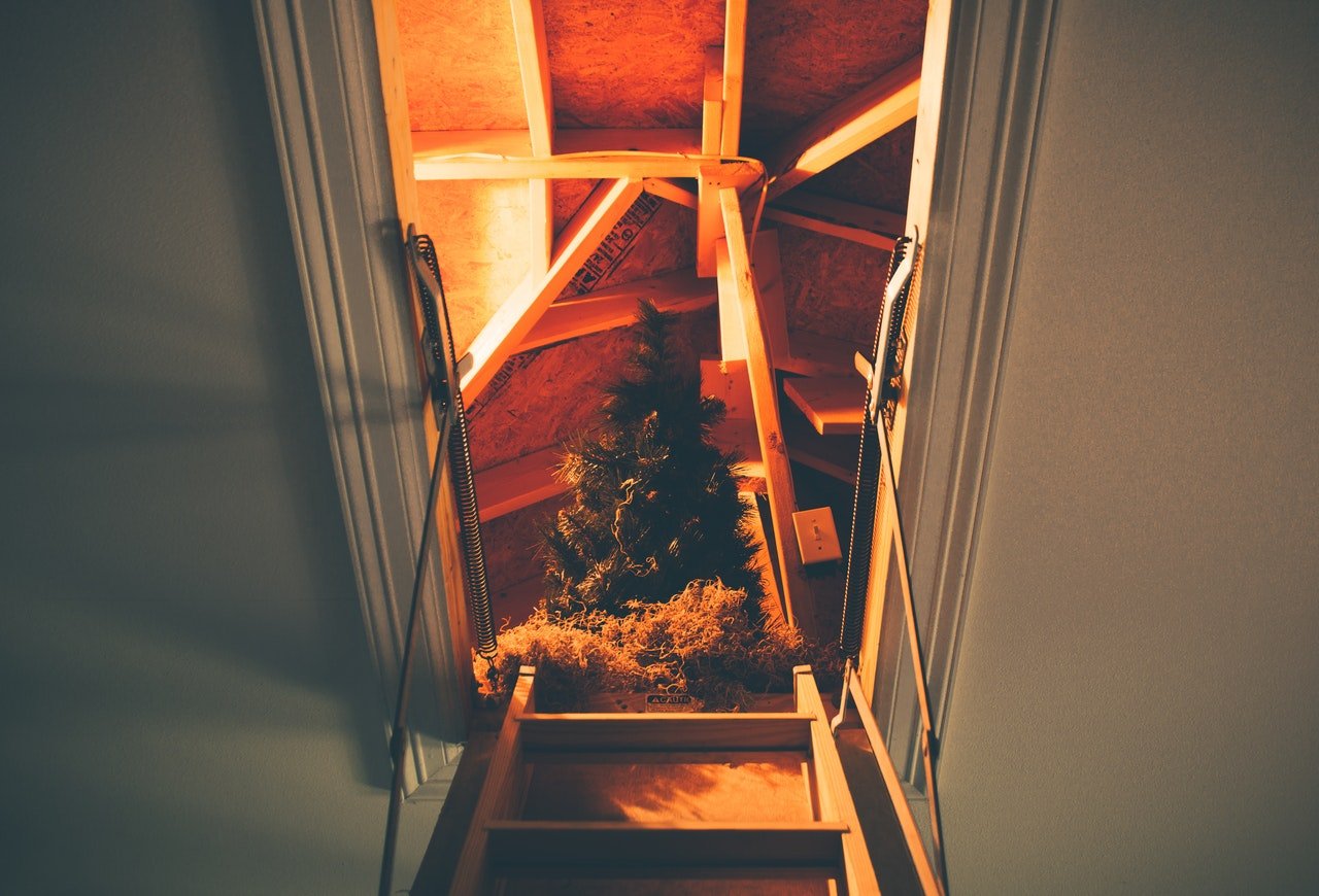 a tree in a house