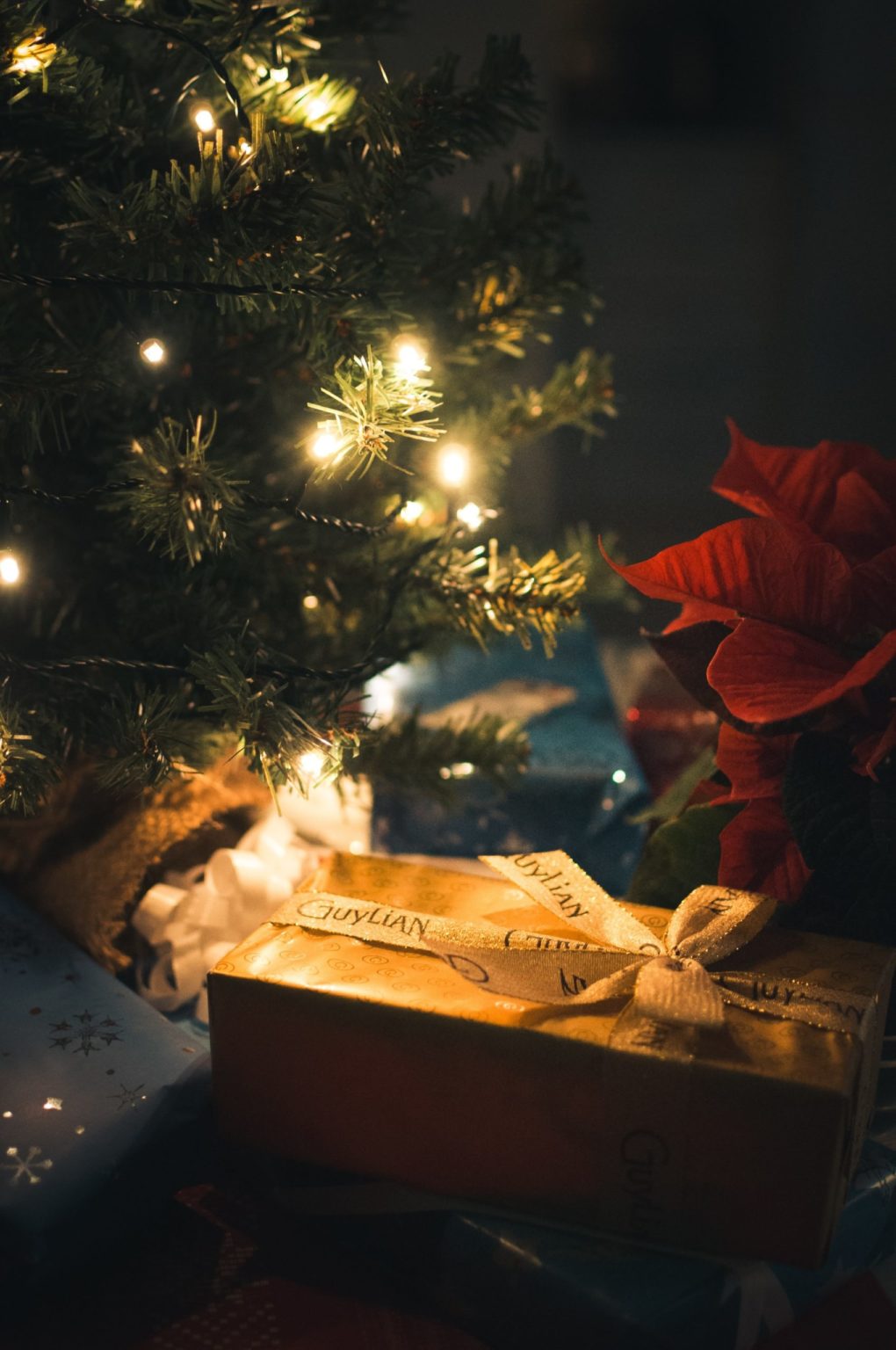 a box with a tree in the background