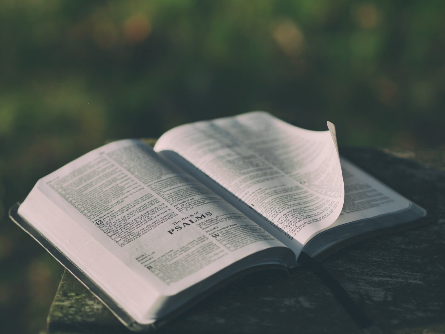 a book on a table