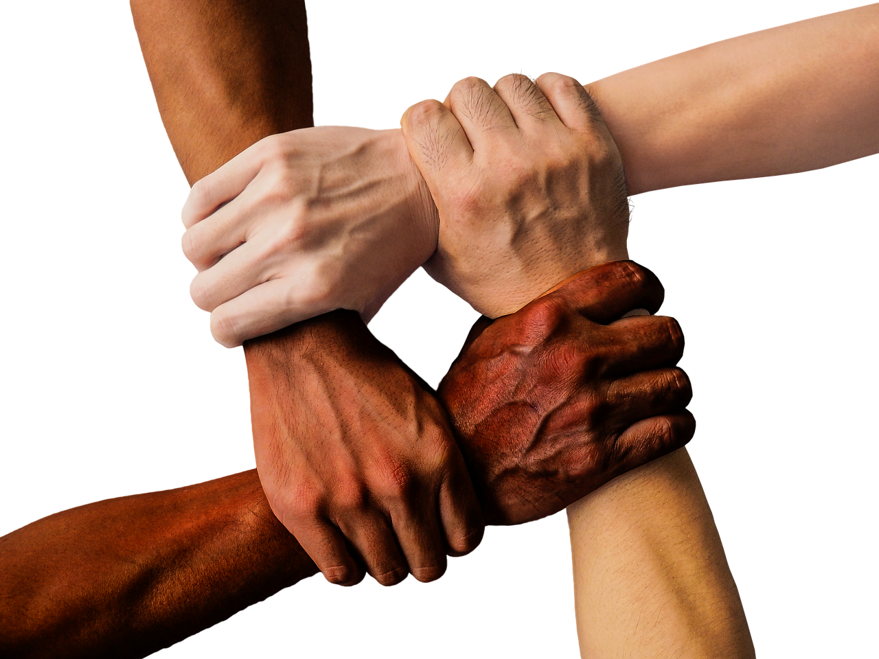 a close-up of hands shaking