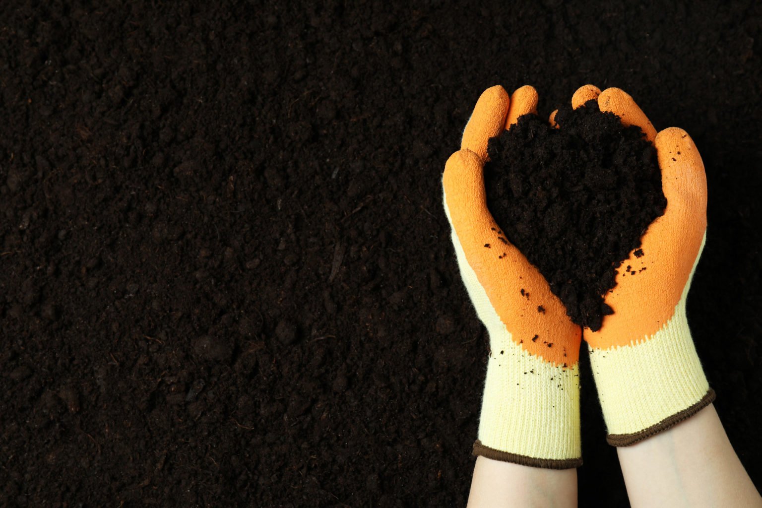 Hands in gloves holding soil